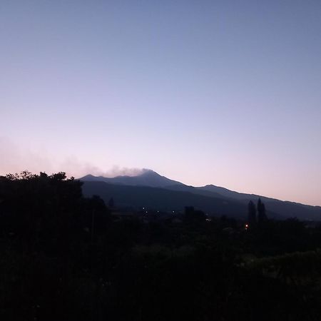 Etna Green House Villa Zafferana Etnea Kültér fotó