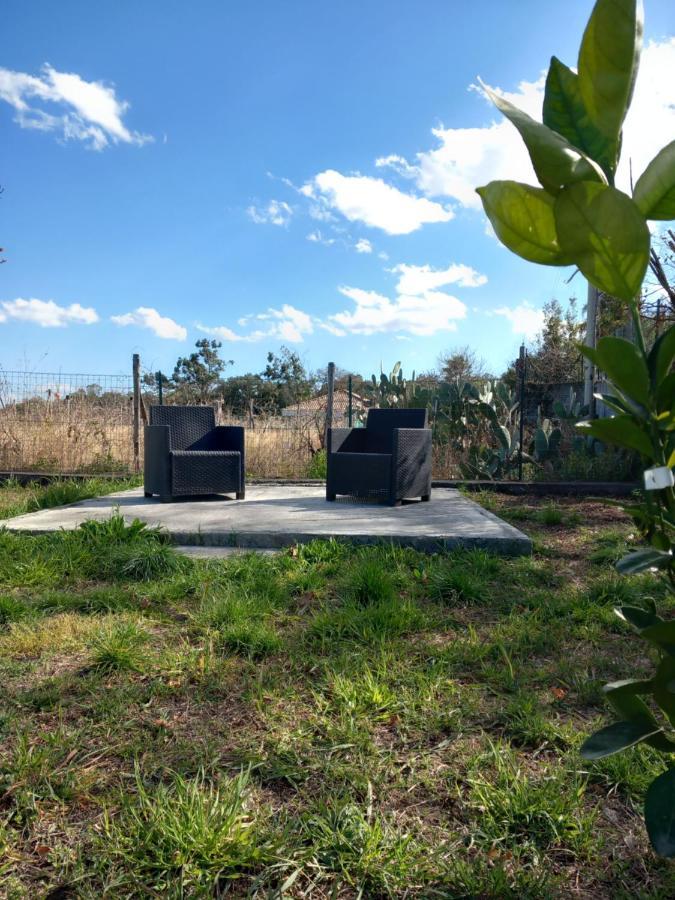 Etna Green House Villa Zafferana Etnea Kültér fotó