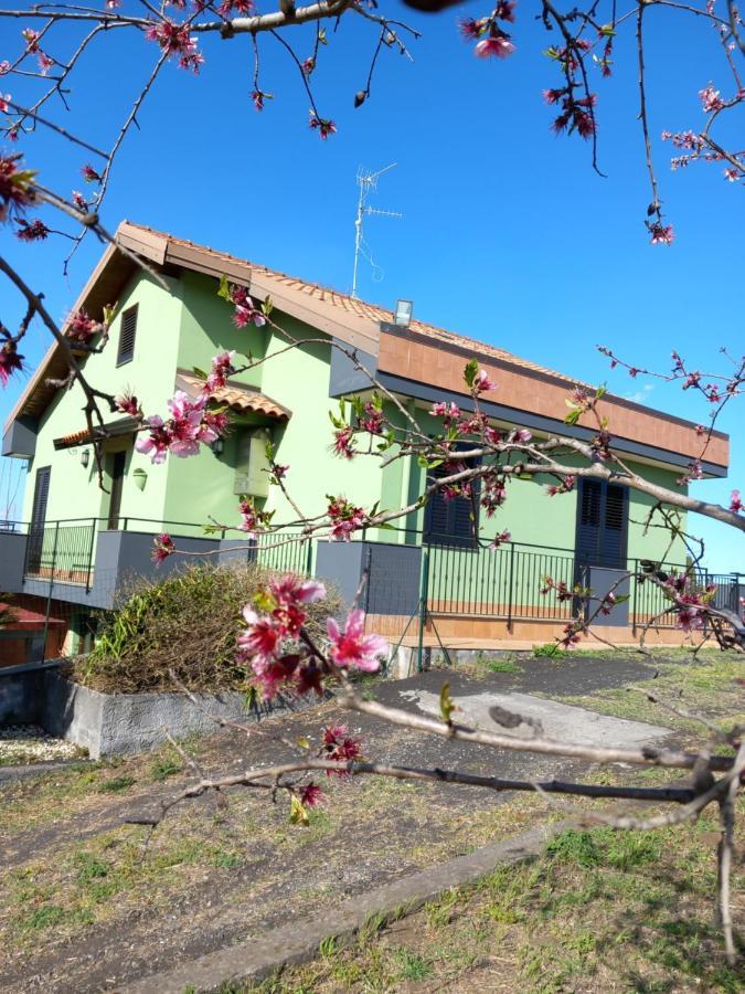 Etna Green House Villa Zafferana Etnea Kültér fotó