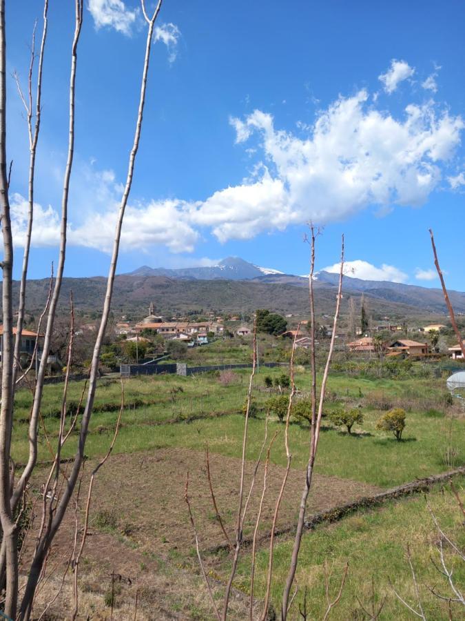 Etna Green House Villa Zafferana Etnea Kültér fotó