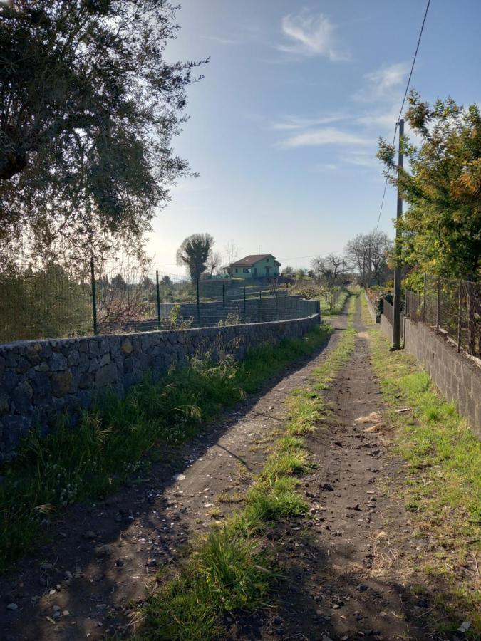 Etna Green House Villa Zafferana Etnea Kültér fotó