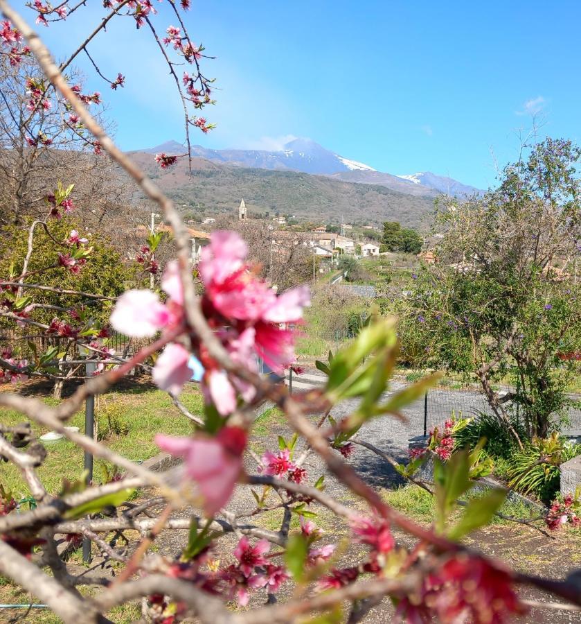 Etna Green House Villa Zafferana Etnea Kültér fotó