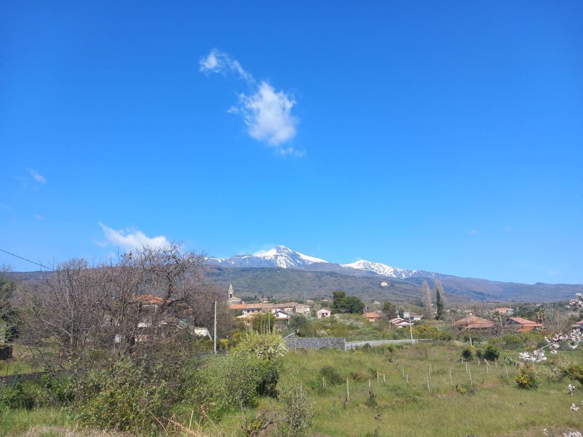 Etna Green House Villa Zafferana Etnea Kültér fotó