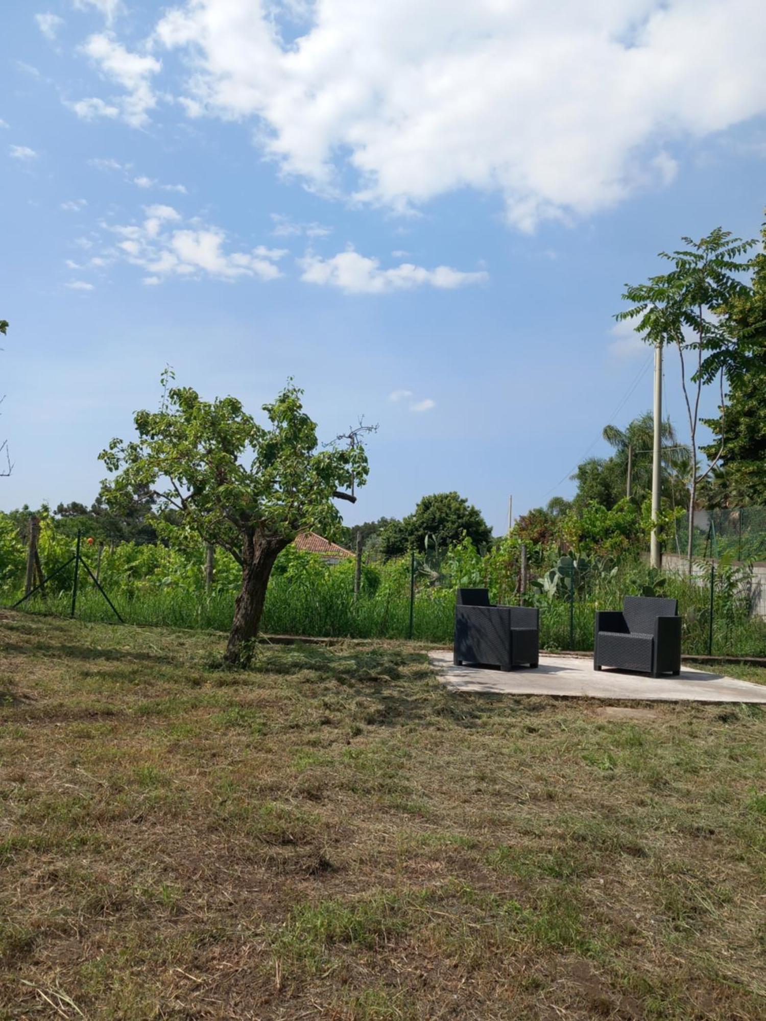 Etna Green House Villa Zafferana Etnea Kültér fotó